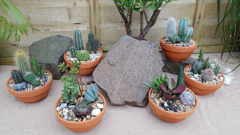 13cm Terracotta Ribbed Bowl - Garden (6)